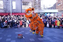 A lion dance performance at the event. (Photo: VNA)
