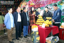 The festival features more than 100 pavilions. (Photo: NDO)