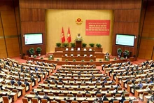 At the national conference (Photo: NDO)