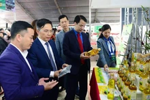 The delegates visit the pavilions at the fair. (Photo: NDO)