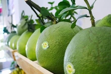 Illustrative photo (Source: Ministry of Industry and Trade)