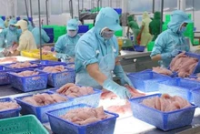 Export turnover of aquatic products tops 8.5 billion USD in the first nine months of 2022 (Photo: VNA)