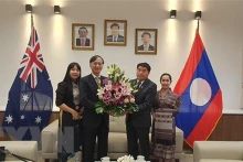 Vietnamese Ambassador to Australia Nguyen Tat Thanh (second, left) congratulates his Lao counterpart on the Bunpimay festival. (Photo: VNA) 