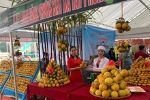 The pavilions at the festival 