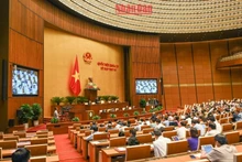 An overview of the session (Photo: NDO)