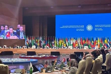 Vietnamese Ambassador to Russia and Azerbaijan Dang Minh Khoi speaks at the Summit of Non-Aligned Movement (NAM) Contact Group in response to the COVID-19 pandemic in Baku. (Photo: NDO)