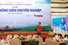 Vice President Vo Thi Anh Xuan speaks at the 7th National Farmers' Forum. (Photo: VNA)