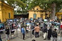 At the exhibition (Photo: NDO)