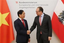 Foreign Minister Bui Thanh Son (left) meets his Austrian counterpart Alexander Schallenberg. (Photo: VNA)