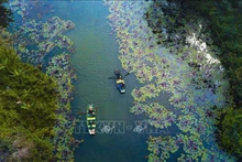 Boats sail to Thung Nang (Sunshine Valley), a tourist attraction in Ninh Binh (Photo: VNA)