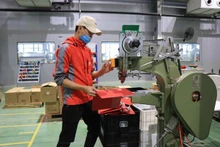 At the Deli Vietnam Co.Ltd at Yen Phong Industrial Park in Bac Ninh province. (Photo: VNA)
