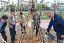 Phu Yen Provincial leaders plant trees at the launching ceremony. (Photo: NDO)