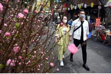 The spring flower market on Hang Luoc Street in Hang Ma District has been always an attractive destination ahead of Tet.