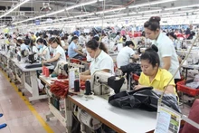 Vietnam joins “golden triangle of startups” in Southeast Asia: Hongkong newspaper 