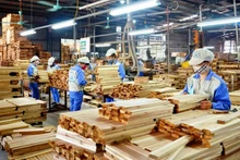 Export turnover of wood and wood products forecast to set record high of 18 billion USD in 2023 (Photo: VNA)