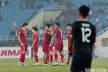 Vietnamese players rejoice after the referee blew the whistle to end the semi-final second leg.