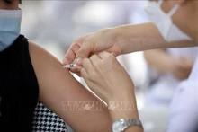 Illustrative image (Photo: VNA)