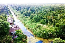 U Minh Ha National Park 