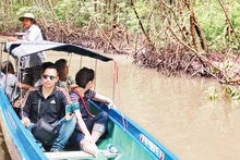 Tourists visit the mangrove forest in Ca Mau. (Photo: Lan Anh)