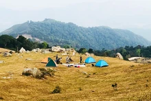 Camping on Dong Cao plateau is an interesting experience. (Photo: NDO)