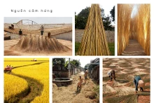 Several images at the exhibition (Photo: hanoimoi.com.vn)