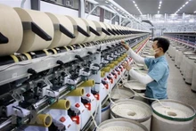 Vietnam's economy will grow by 6.6% this year, according to OECD. (Photo: VNA)