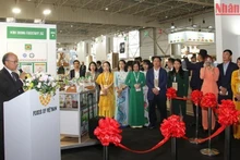 Ambassador Dinh Toan Thang speaks at the opening ceremony for the Vietnam Zone. 