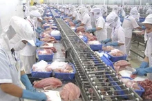 The Mekong Delta province of Dong Thap expects to earn over 980 million USD from tra fish exports by 2025. (Photo: The Saigon Times)