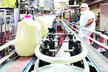Vinamilk's Driftwood Dairy Factory in the US. (Photo:Minh Thi)