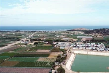 The area planned to build the Ninh Thuan 2 nuclear power plant in Ninh Hai district, Ninh Thuan province. (Photo: VNA)