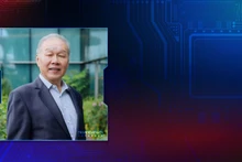 Professor Low Teck Seng. (Photo: VNA)