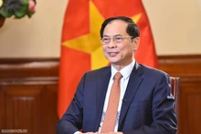 Vietnamese Deputy Prime Minister and Minister of Foreign Affairs Bui Thanh Son. (Photo: VGP)