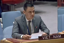 Ambassador Dang Hoang Giang, Permanent Representative of Vietnam to the UN (Photo: VNA)