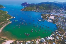 Institute of Environment, Sea and Islands Science to be established