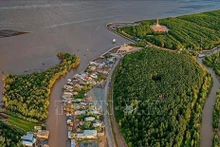 Cape Ca Mau area seen from above (Photo: VNA).
