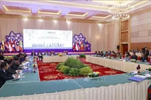 At the meeting (Photo: VNA)