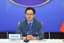 Deputy Minister of Foreign Affairs Do Hung Viet (Photo: VNA)
