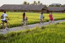 The Mekong Delta province of Long An has been urged to seize the new trend of agro and rural tourism. (Photo: VNA)