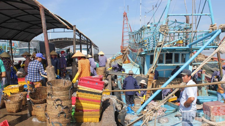 Fishermen unload seafood at Binh Dai fishing port, Vinh Long Province. (Photo: HOANG TRUNG) vinh-long-chong-iuu-12825-2.jpg
