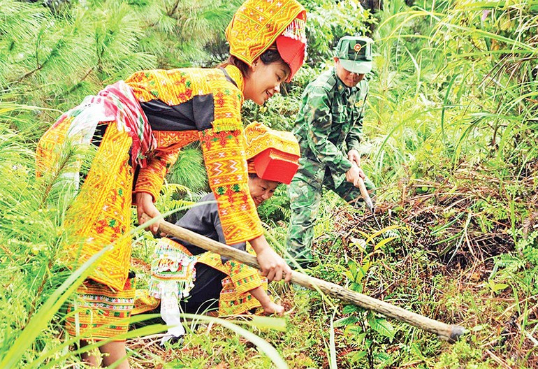 Officers and soldier of Ba Son Border Guard Station, Ba Son Commune, Lang Son, together with locals planting camellia chrysantha trees. (Photo: HUNG TRANG) xathoatngheo-23925-2.jpg
