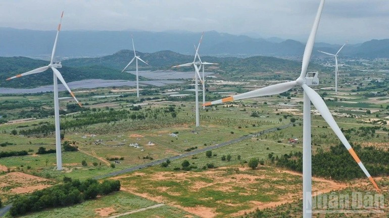 Major opportunity for Vietnamese businesses to join the renewable energy supply chain. (Photo: VAN DUY) nangluongtaitao-25625.jpg