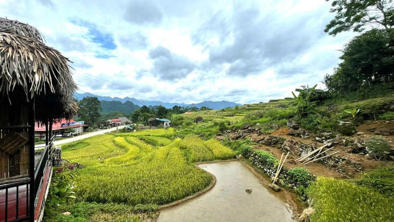 Homestays in Pu Luong nestled among terraced fields. puluong-29625-1.jpg