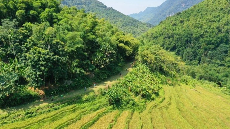 A trekking trail in the morning sun. puluong-29625-2.jpg