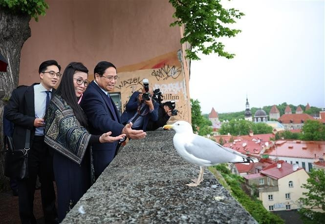 PM Pham Minh Chinh and his spouse in Tallinn Old Town (Photo: VNA) pm-explores-estonia-05625.jpg