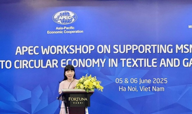Pham Quynh Mai, Deputy Director of the ministry's Multilateral Trade Policy Department, speaks at the event. (Photo: VNA) pham-quynh-mai-076.jpg