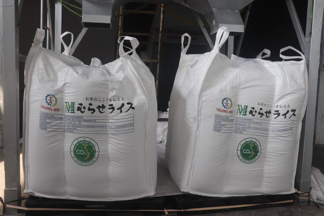 About 400,000 tonnes of rice with low-emission certification will be sold to international markets this year, with Japan serving as the primary destination. (Photo: VNA) vna-potal-xuat-khau-lo-gao-viet-xanh-phat-thai-thap-dau-tien-sang-nhat-ban-8075169.jpg