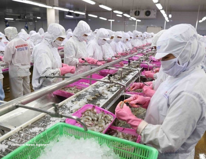 Aquatic products is a key foreign currency earner of Viet Nam (Photo: VNA)