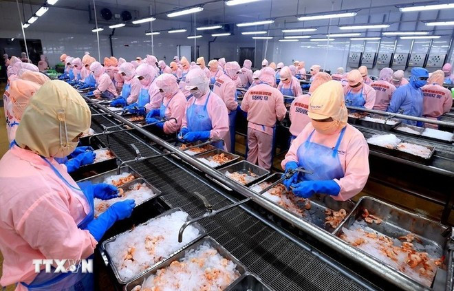 A shrimp processing factory in Viet Nam. (Photo: VNA)