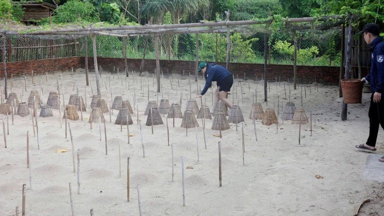 Volunteers checking and monitoring turtle incubation sites at Con Dao National Park. (Photo: KHIEU MINH) ruabien-19825.jpg