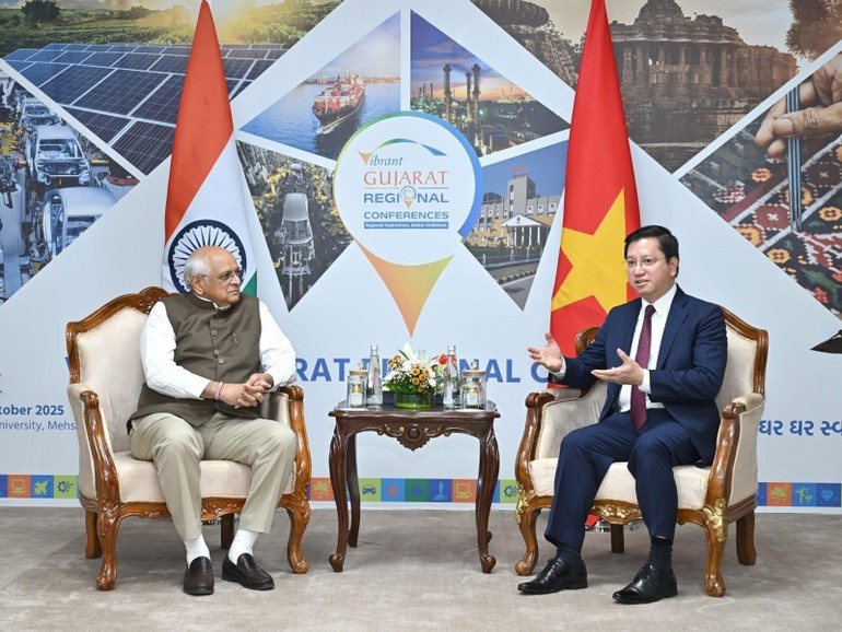 Ambassador Nguyen Thanh Hai (right) meets with the Chief Minister of Gujarat. (Photo: Viet Nam Trade Office in India) dnando-131025.jpg